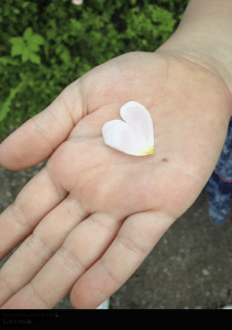 Kuva: Heidi Fransila